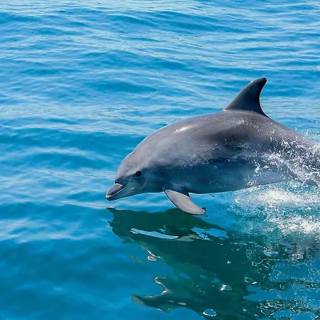 V3, Belo Horizonte Near Beach, Βίλα *