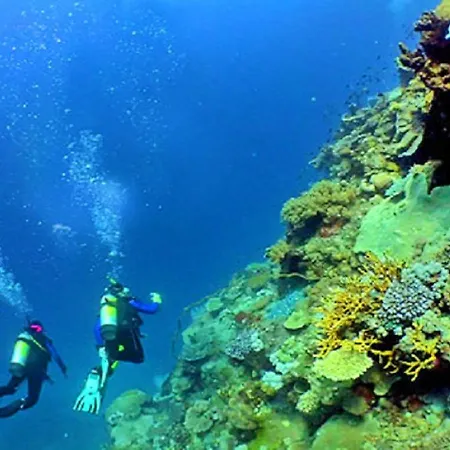 V3, Belo Horizonte Near Beach, Αλμπουφέιρα