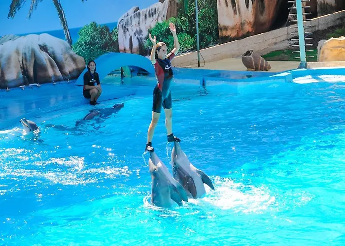 V3, Belo Horizonte Near Beach, فيلة *