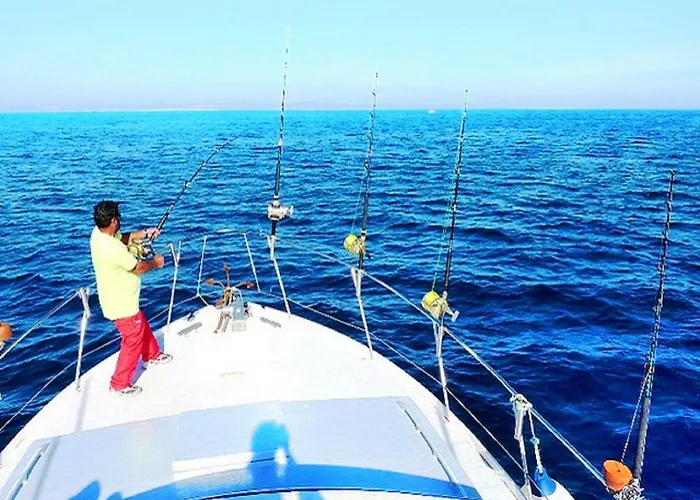 V3, Belo Horizonte Near Beach, فيلة *